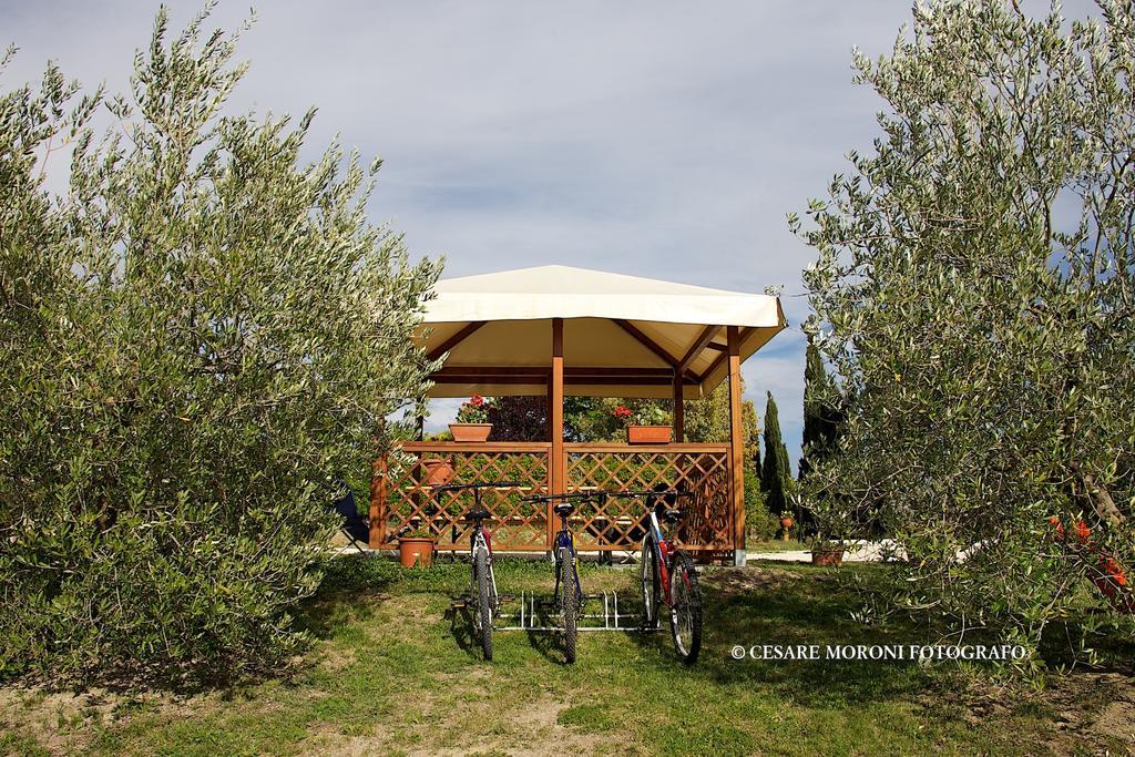 Residence Ai Campi Da Golf Saturnia Phòng bức ảnh